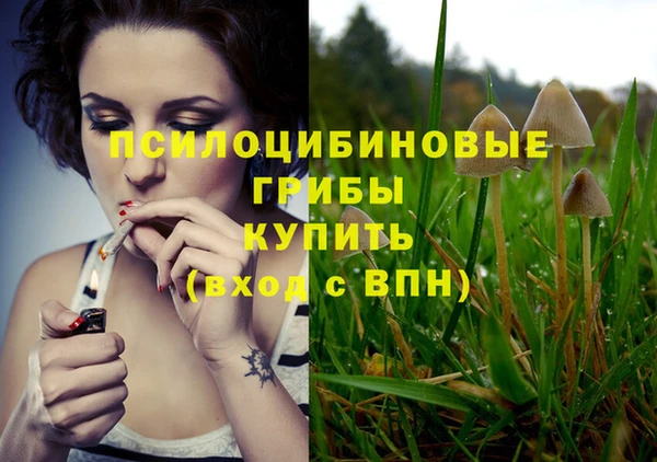 мет Нея
