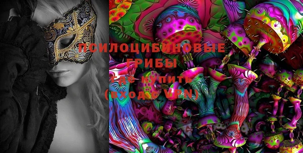 соль ск Нефтекумск